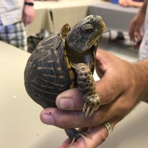 Meet your Posher, Marissa